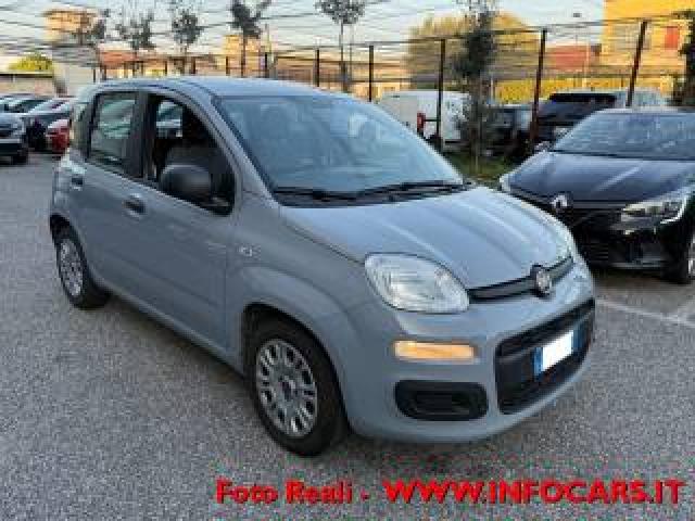 Fiat Panda Hybrid 1.0 Firefly 70 Cv - Promo 