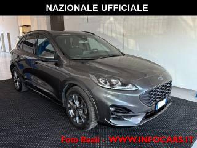 Ford Kuga 1.5 Ecoblue 120 Cv Autom. St-Line - Promo 