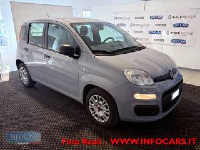 Fiat Panda 1.0 Hybrid 70 Cv - Neopatentati - Promo 