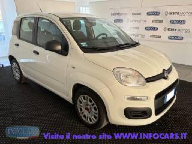 Fiat Panda 1.0 Hybrid 70 Cv - Neopatentati - Promo 