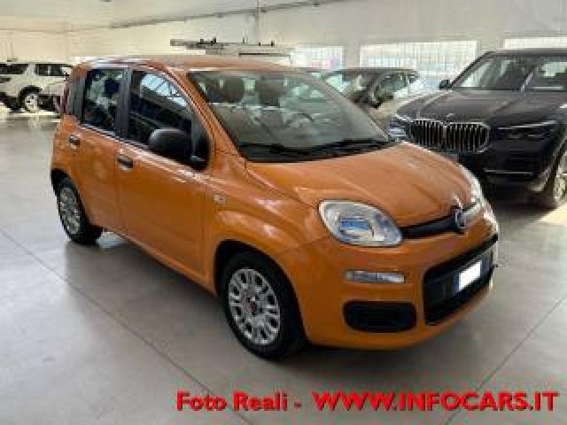 Fiat Panda Hybrid 1.0 Firefly 70 Cv Neopatentati  Promo 