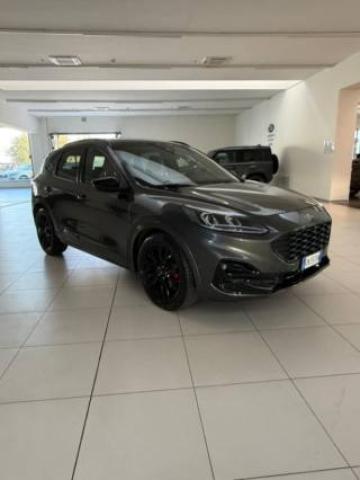 Ford Kuga 1.5 Ecoblue 120 Cv Aut. 2wd St-Line X 