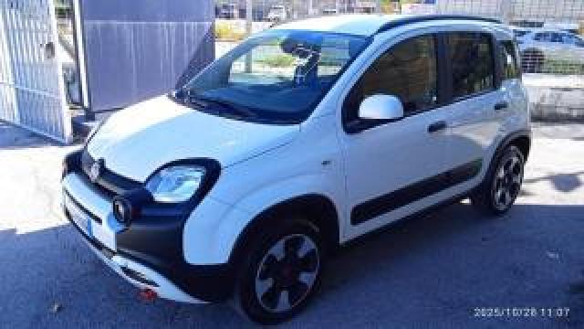 Fiat Panda Cross 1.0 Firefly S&s Hybrid 