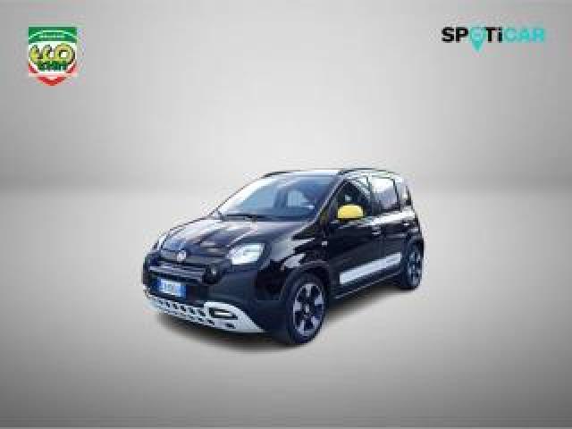 Fiat Panda 1.0 Firefly S&s Hybrid Pandina 