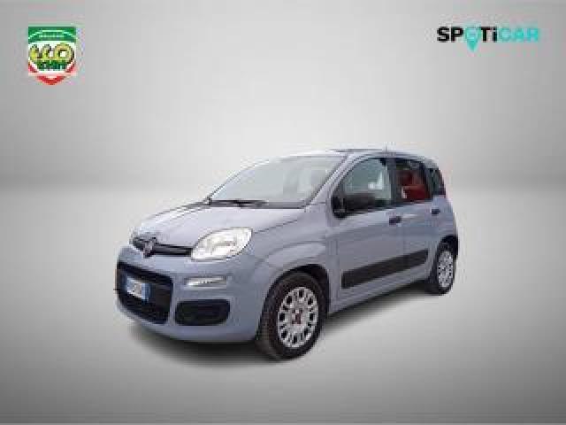 Fiat Panda 1.2 Pop 