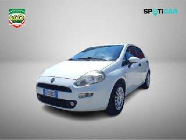 Fiat Punto 1.3 Mjt Ii 75 Cv 5 Porte Street 