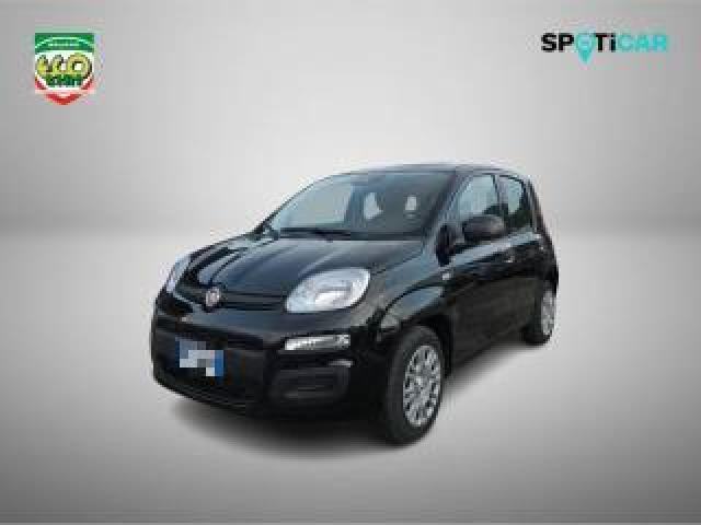 Fiat Panda 1.0 Firefly S&s Hybrid+gpl 