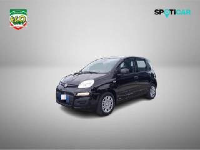 Fiat Panda 1.0 Firefly S&s Hybrid+gpl 