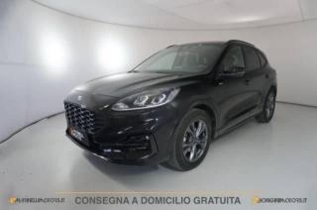 Ford Kuga 2.0 Ecoblue 120cv Aut St-Line 