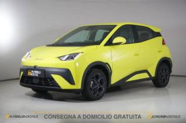 Byd Dolphin Surf Boost 