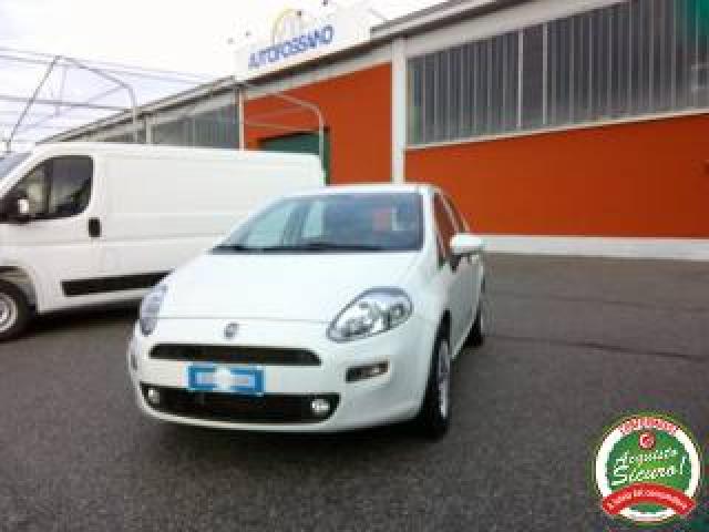 Fiat Punto 1.4 8v 5 Porte Easypower Street 