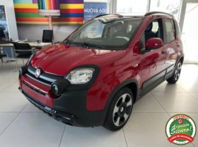 Fiat Panda Cross 1.0 Firefly S&s Hybrid Pandina 