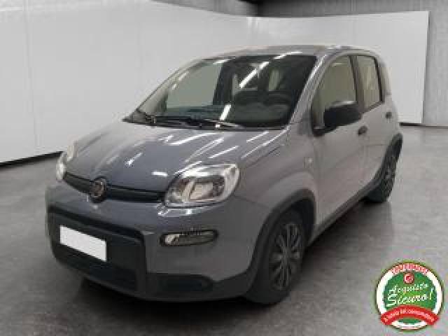 Fiat Panda 1.0 Firefly S&s Hybrid - Prezzo Reale 