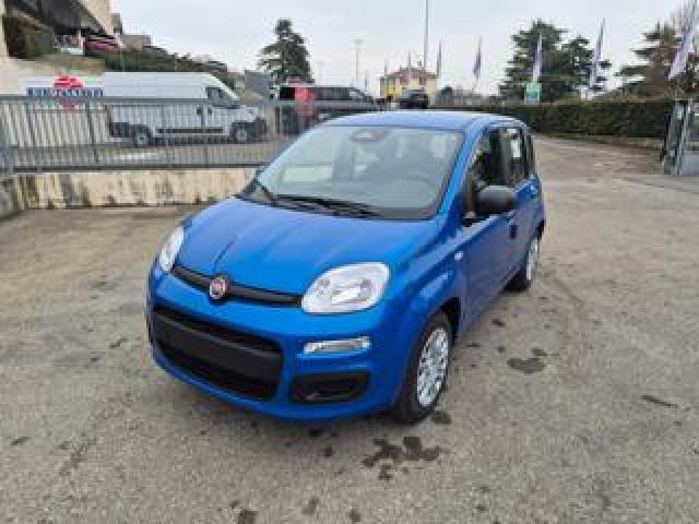 Fiat Pandina 1.0 Firefly 65 Cv Hybrid Icon 