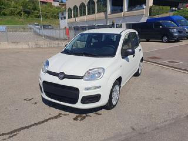 Fiat Pandina 1.0 Firefly 65 Cv Hybrid Icon 