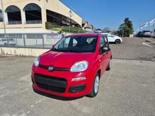 Fiat Pandina 1.0 Firefly 65 Cv Hybrid Icon 