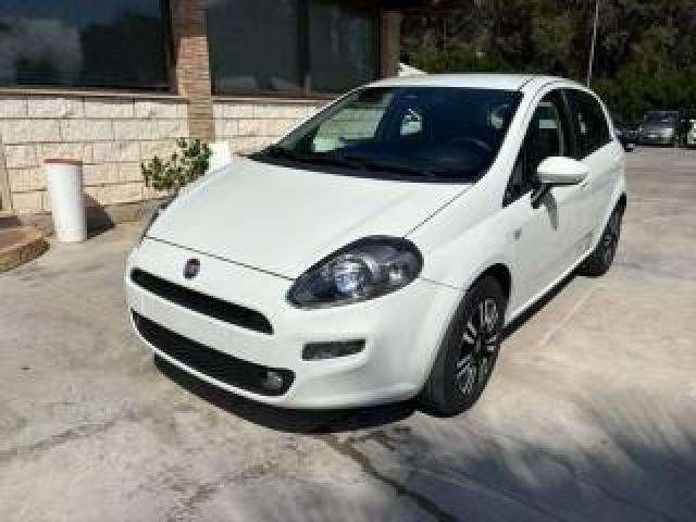 Fiat Punto 1.3 Mjt Ii 85 Cv Street 