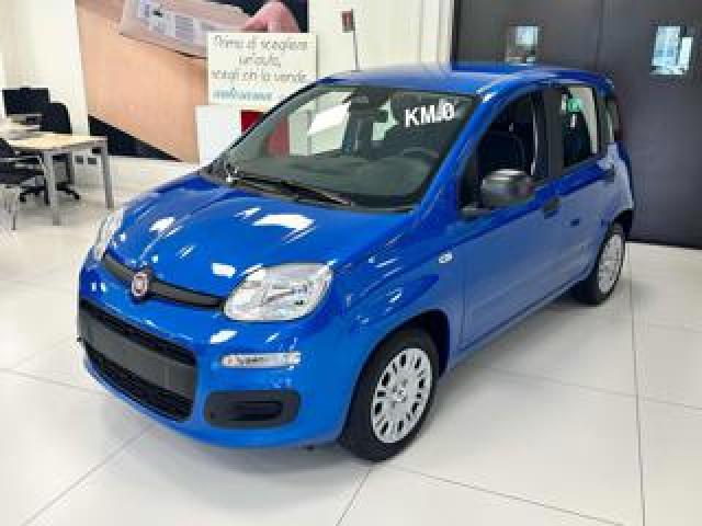 Fiat Panda 1.0 Firefly 70cv S&s Hybrid Km.zero 