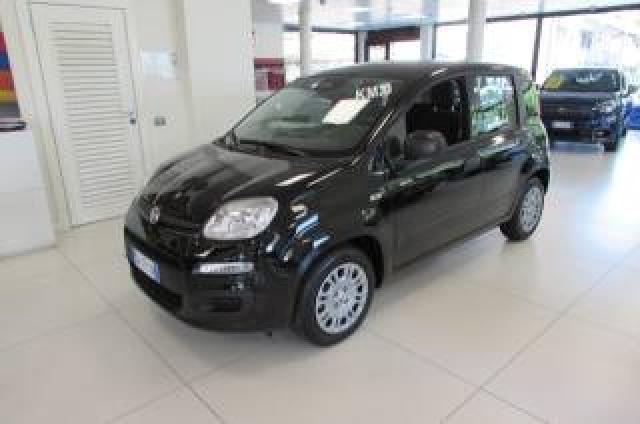 Fiat Panda 1.0 Firefly 70cv S&s Hybrid Km.zero 