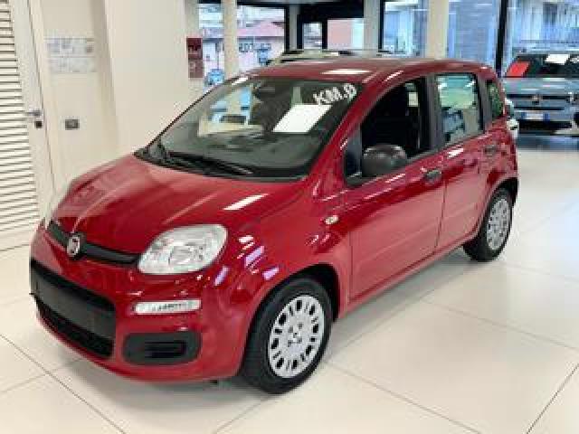 Fiat Panda 1.0 Firefly 70cv S&s Hybrid Km.zero 