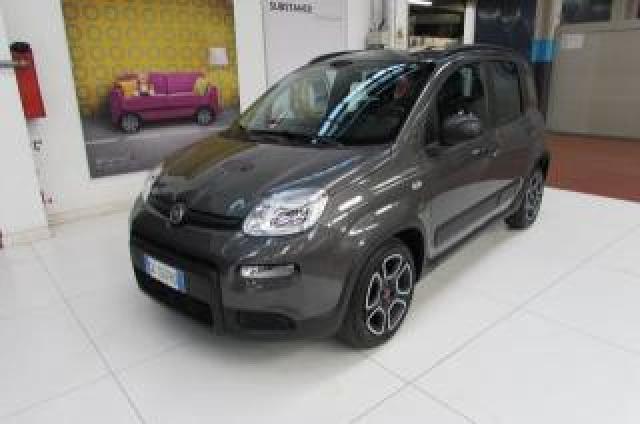 Fiat Panda 1.0 Firefly 70cv S&s Hybrid City Life 