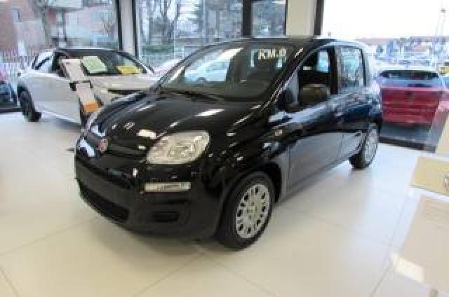 Fiat Panda 1.0 Firefly 70cv S&s Hybrid Icon Kmzero 