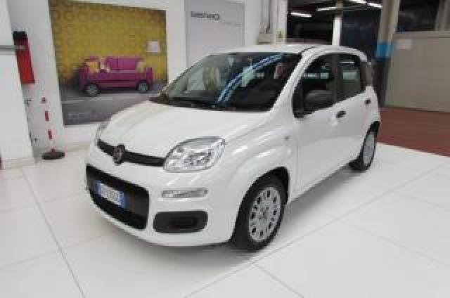 Fiat Panda 1.0 Firefly S&s Hybrid Easy 