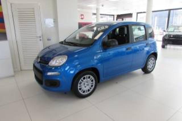 Fiat Panda 1.0 Firefly S&s Hybrid Pop Km Zero 