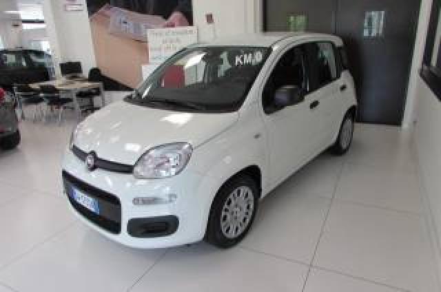 Fiat Panda 1.0 Firefly 70cv S&s Hybrid Icon Kmzero 