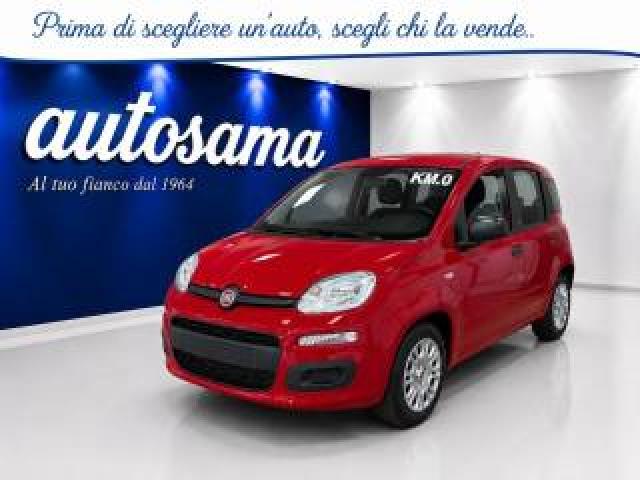 Fiat Panda 1.0 Firefly 70cv S&s Hybrid Icon Kmzero 