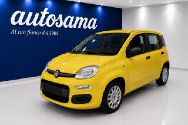 Fiat Panda 1.0 Firefly 70cv S&s Hybrid Icon Kmzero 