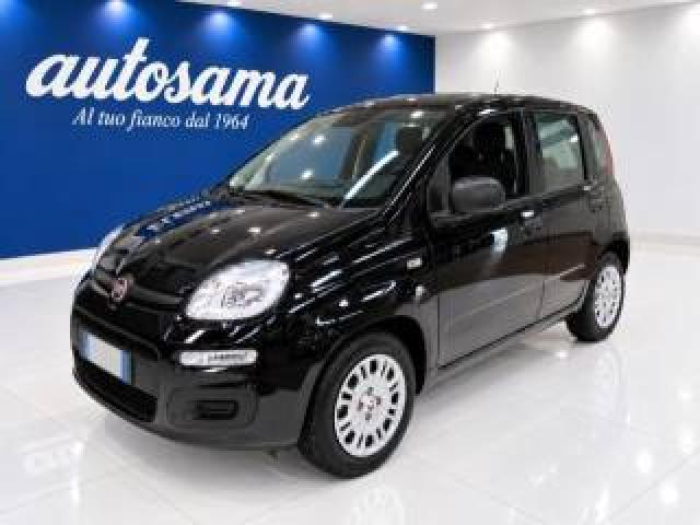 Fiat Panda 1.0 Firefly 70cv S&s Hybrid Icon Kmzero Nera 