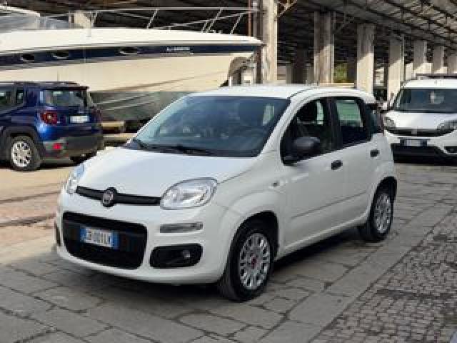 Fiat Panda 1.2 Easypower Easy 