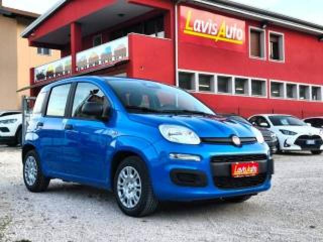 Fiat Pandina 1.0 Firefly 65 Cv Hybrid Pop 