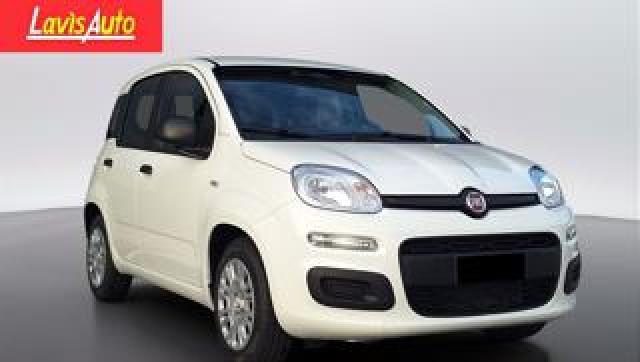 Fiat Panda 1.0 Firefly S&s Hybrid Icon 