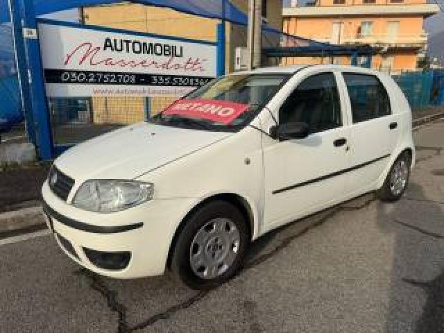 Fiat Punto 1.2 5 Porte Active Natural Power 