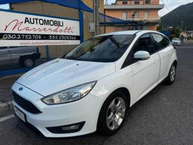 Ford Focus 1.0 Ecoboost 100 Cv Start&stop Business 