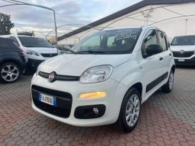 Fiat Panda Panda Iii0.9 T.air T. Natural Power Easy 80cv E6 