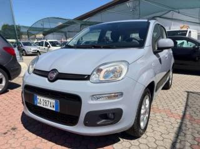Fiat Panda Panda Iii 1.2 Lounge Easypower Gpl 69cv My19 
