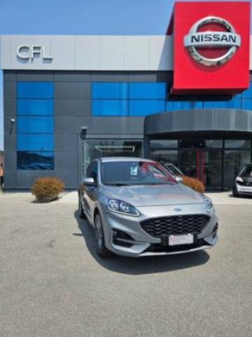 Ford Kuga 1.5 Ecoblue 120 Cv Aut. 2wd St-Line X 