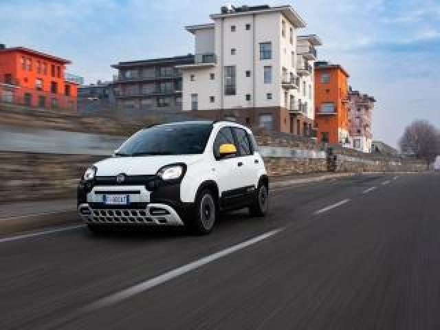 Fiat Panda 1.0 Firefly S&s Hybrid Pandina Vari Colori 