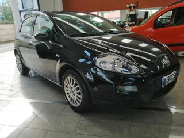 Fiat Punto 1.2 8v 5 Porte Street 