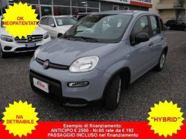 Fiat Panda 1.0 Firefly S&s Hybrid City Life - Ok Neopatentati 
