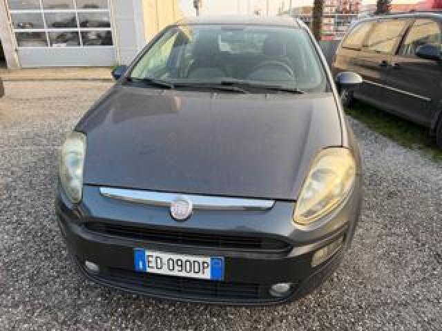 Fiat Punto Evo 1.3 Mjt 75 Cv Dpf 5p S&s Dynamic  Bellissima 