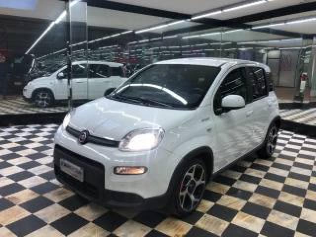 Fiat Panda 1.0 Firefly S&s Hybrid Sport 