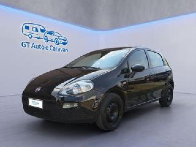 Fiat Punto 1.2 8v 5 Porte Lounge Benzina Euro6b 