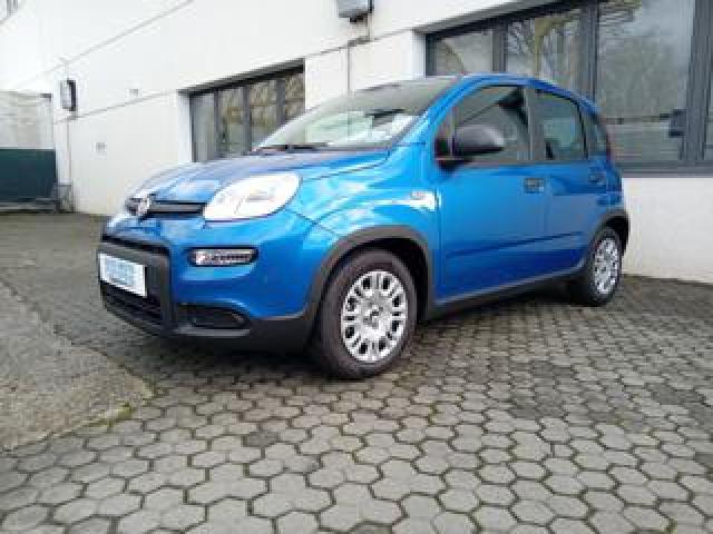Fiat Panda 1.0 Mild Hybrid Manuale Pandina Ok Neopatentato 