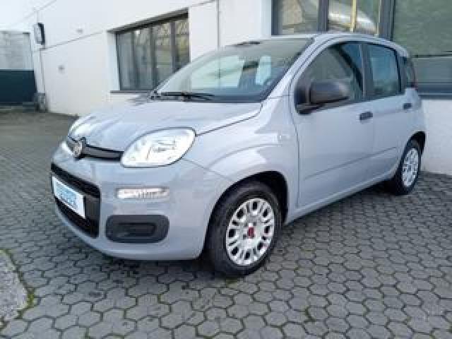 Fiat Panda 1.2 Benzina 69cv Easy Prezzo Reale! 