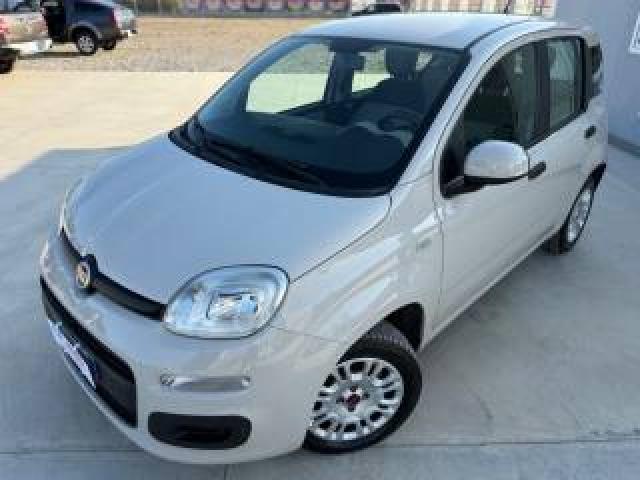 Fiat Panda Twinair Automatica Perfetta 