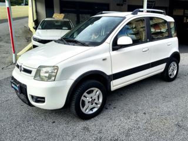 Fiat Panda 1.3 Mjt 16v 4x4 Climbing - Tagliandata 